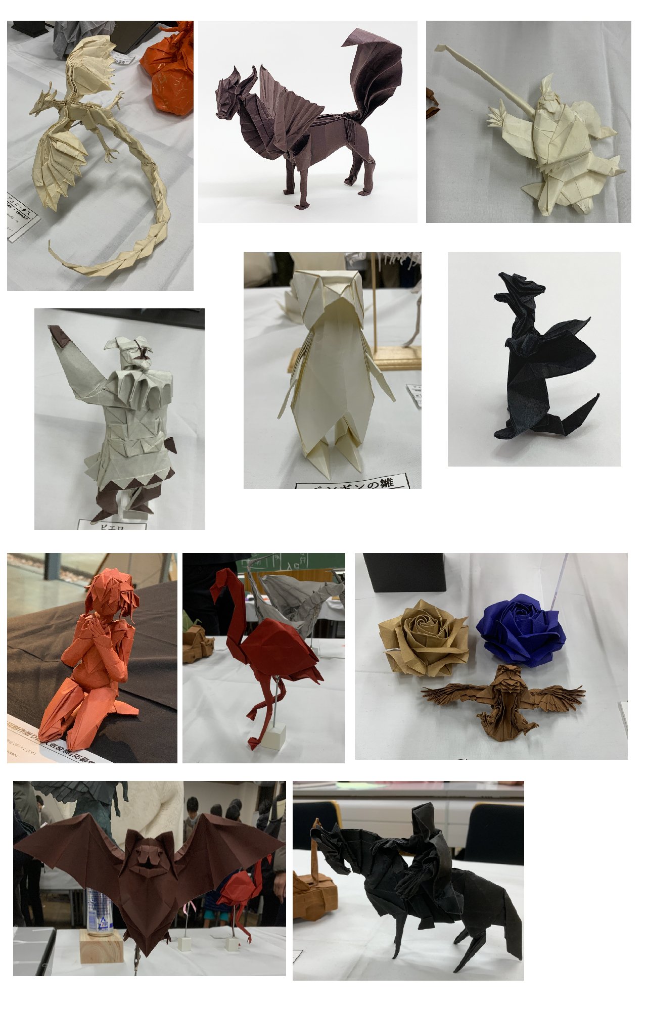 生态纸作品展示_画板 1 ビオトープBIOTOPE動物折り紙105g304アースブラウン単色ハンドメイド特殊紙両面同色