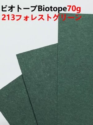 ビオトープBIOTOPE動物折り紙70g213フォレストグリーン単色ハンドメイド特殊紙両面同色
