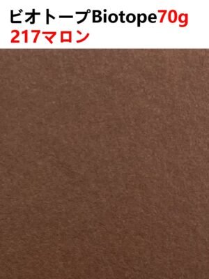 ビオトープBIOTOPE動物折り紙70g217マロン単色ハンドメイド特殊紙両面同色