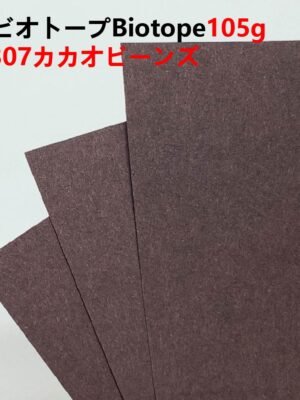 ビオトープBIOTOPE動物折り紙105g307カカオビーンズ単色ハンドメイド特殊紙両面同色