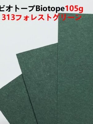 ビオトープBIOTOPE動物折り紙105g313フォレストグリーン単色ハンドメイド特殊紙両面同色