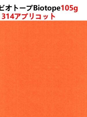 ビオトープBIOTOPE動物折り紙105g314アプリコット単色ハンドメイド特殊紙両面同色