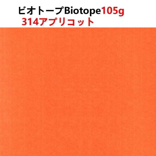 生态纸314- 主图_画板 1 ビオトープBIOTOPE動物折り紙105g314アプリコット単色ハンドメイド特殊紙両面同色